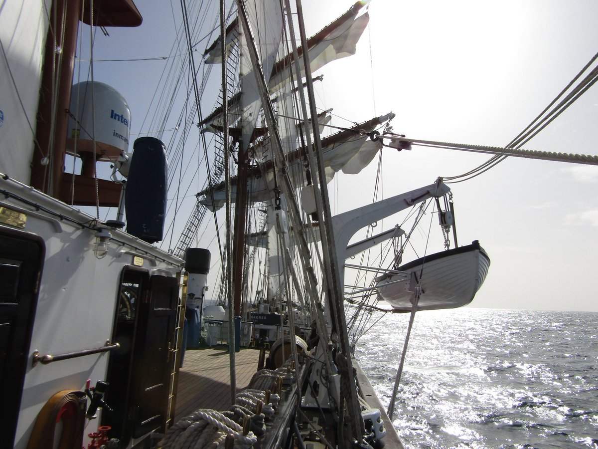 O projeto multidisciplinar de #CiênciaCidadã CIRCULARES está a envolver os cadetes do Navio Escola #Sagres na recolha de dados científicos ao longo da sua viagem de circum-navegação.Projeto coordenado por Cristina Máguas <a href="/CE3CResearch/">CE3C</a> @FC_UL: bit.ly/38QsHaP.©: <a href="/MarinhaPT/">Marinha</a>