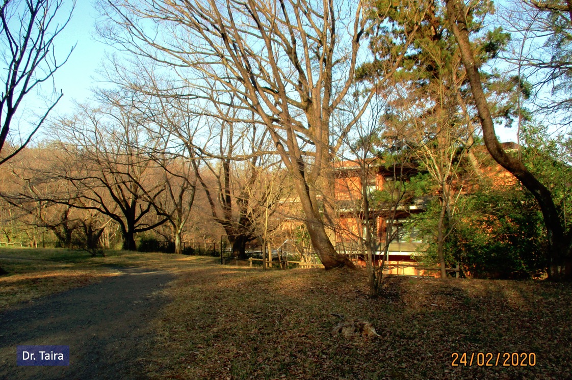 Dr Taira Mushiac ちなみに八国山緑地はトトロの森と呼ばれています 森を歩いていると見えてくる建物は となりの トトロ の中でさつき メイのお母さんが入院している病院のモデルとも言われている病院 T Co Q75dqqzvjg Twitter Dr Taira Mushiac ちなみに八国山緑地はトトロの森と呼ばれています 森を歩いていると見えてくる建物は となりの トトロ の中でさつき メイのお母さんが入院している病院のモデルとも言われている病院 T Co Q75dqqzvjg Twitter