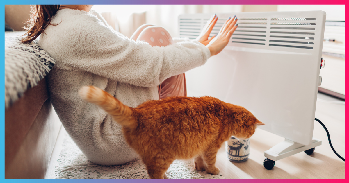 EndesaClientes's tweet photo. Si eres como un gatito 🐱 buscando el calor en cada rincón, ¡este es tu sorteo! ❄️ La última caldera que regalamos es @Chaffoteaux_ y puede ser tuya siguiendo estos pasos: 
- RT 🔁
- ¡Síguenos! 👍
BL: https://t.co/ERAmsu3kem 
#FelizLunes #SomosEnergía #HistoriasconEnergía https://t.co/3yYdDONjao