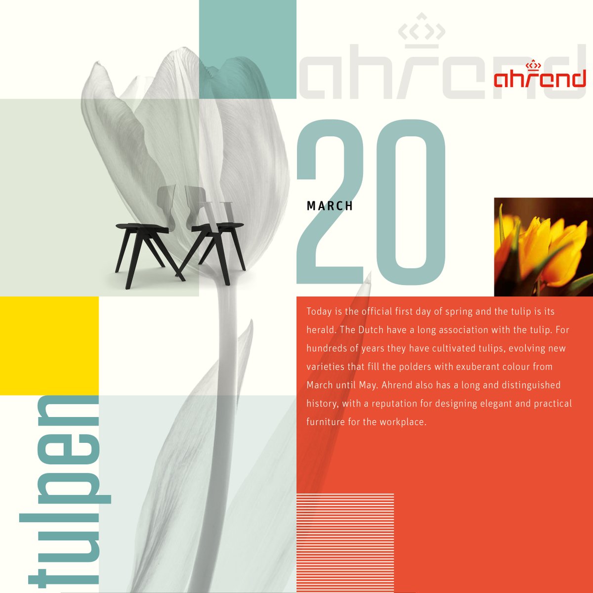 PocknellStudio's tweet image. Poster artwork.