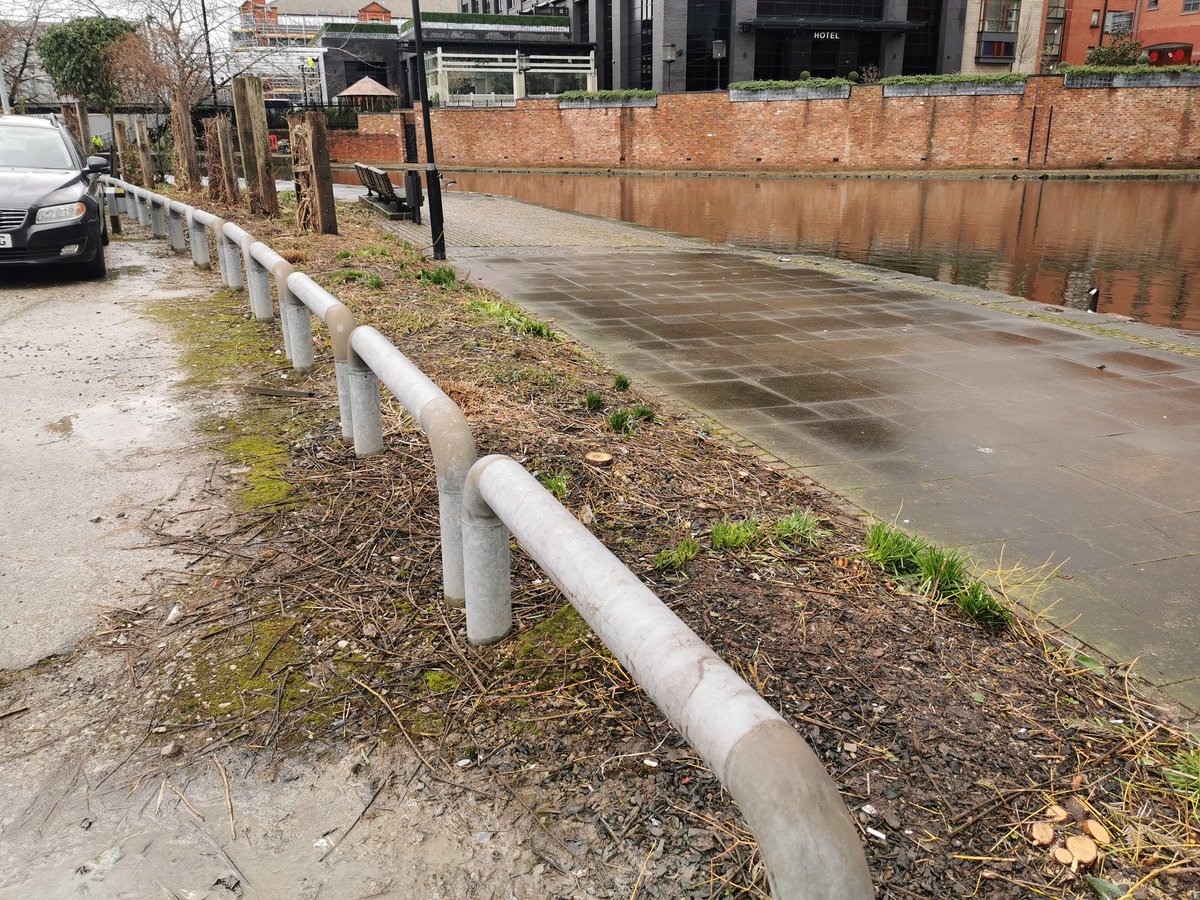 What the hell has happened to all the trees and bushes at the side of Dale Street car park bordering the canal? This stretch was absolutely full of greenery and birds, now cut down to floor level 😭