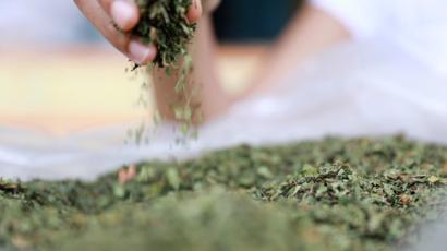 BotanicalsKay's tweet photo. Kay Botanicals will always be open about its manufacturing of the extracts from the leaves. We let FDA/DEA to know that we care about our customers and each time we ensure the Kratom quality all the time. 
#kratom #keepkratomlegal #kratomsafety #kaybotanicals #kratomlabtesting https://t.co/Dwsm44djqp
