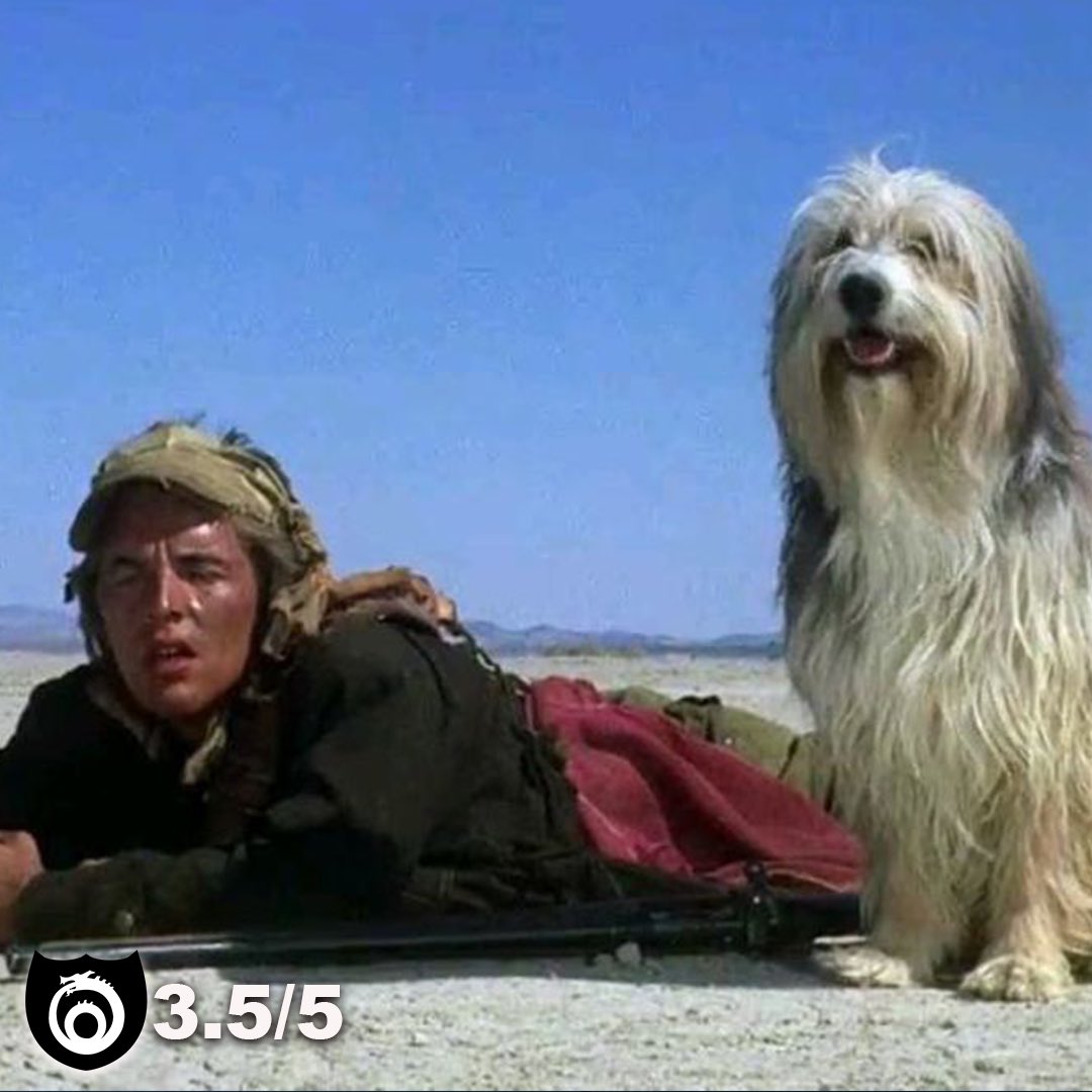 TrueMythMedia's tweet photo. LQ Jones’ A Boy and His Dog is a delightfully weird post apocalyptic tale with a somewhat kinky subplot. Check out our review at https://t.co/ooueX5gSdp! 

#aboyandhisdog #lqjones #postapocalyptic #donjohnson #apocalypse #nuclearholocaust #timmcintire #susannebenton #2024 #vic https://t.co/CYkQ3N2TPd