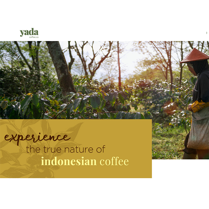 Indonesian coffee tasting with a conscience (Cape Town and...)😇 - mailchi.mp/f552dbbbab38/i…