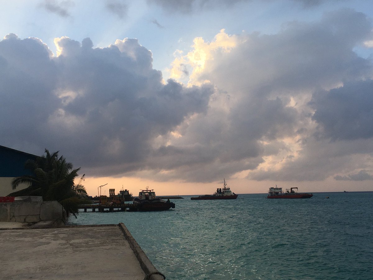 McKinnonDavid's tweet photo. In Thulusadhoo #Maldives. Some days, I really love my job. #coralfest2020 @MaldivesCoral #CFLIMv https://t.co/rmx2EF4q09