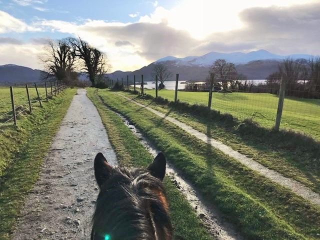 killarneystable's tweet image. "Traveling - it leaves you speechless, then turns you into a storyteller." - Ibn Battuta
-
-
#Killarneynationalpark #Killarneyridingstables #Killarney #Kerry #RingofKerrytrailride #Horses #DaytourKerry #Stables #Ireland #HorseridinginKerry #Travel #Horseriding #Tour