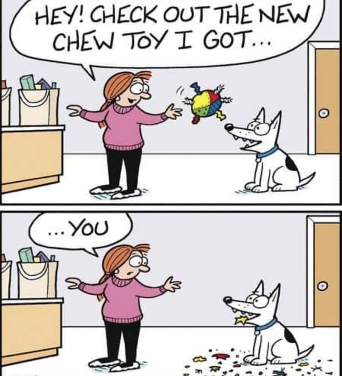 VetGirlOnTheRun's tweet photo. They are never indestructible!! #30seconds #stuffingeverywhere
#vettech #vetmed #veterinary #vetgirl https://t.co/rim3cUBEfw