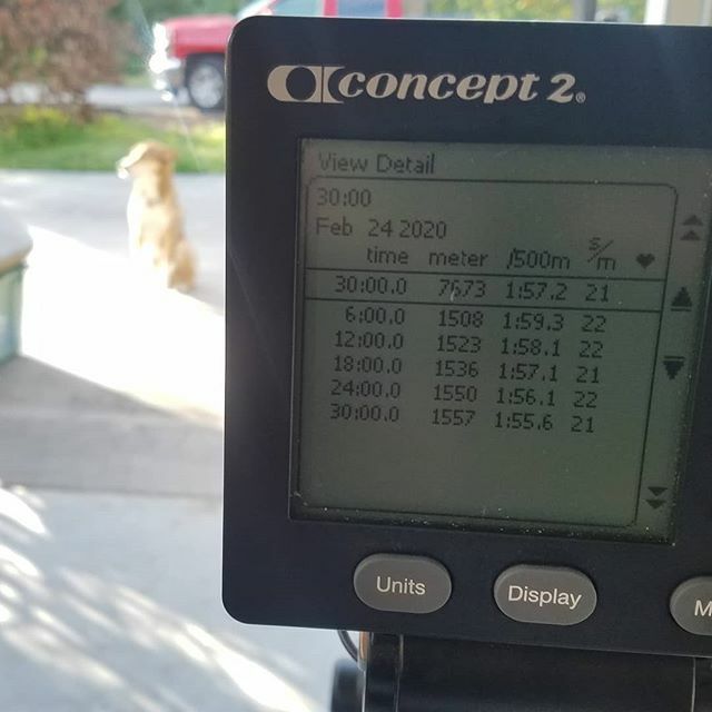 Monday Fun! @regattadogs #concept2 #row #usrowing #nosnowhere #wintertraining #boatlife #ergobaby #ergsmakeboatsgofast #messingaboutinboats #lifeisgood #exploreflorida #gooutside #livelifehappy #rowingmorethanasport #rowingrelated #this_dosent_suck