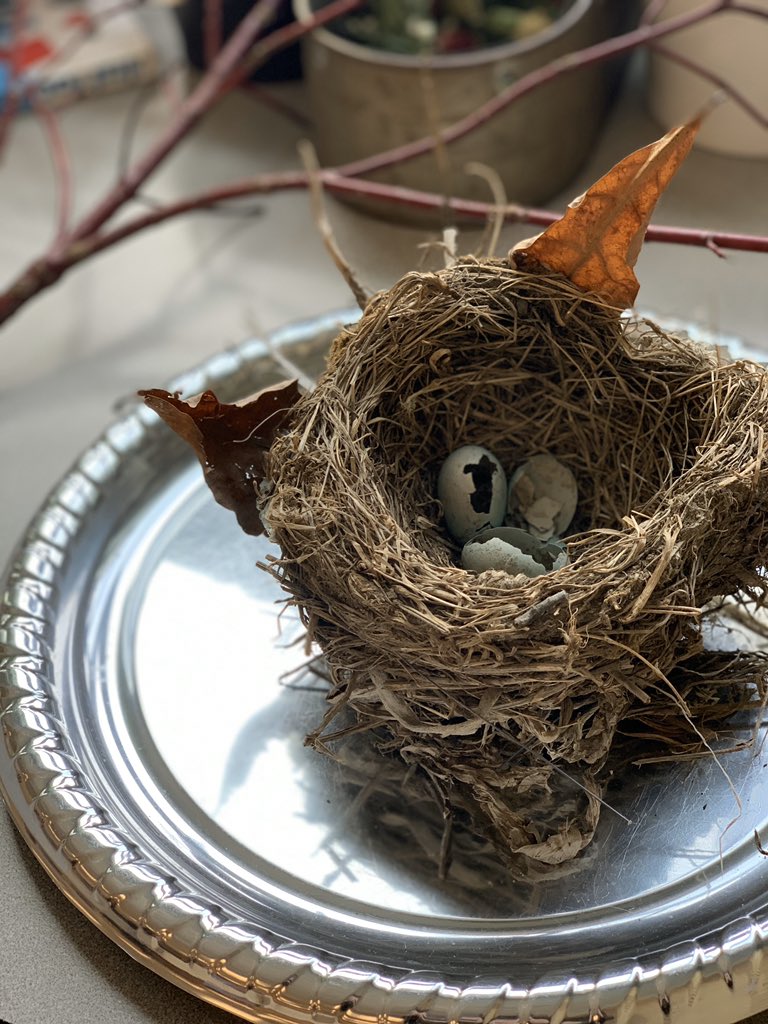 Leslie Middlebrook tweet media