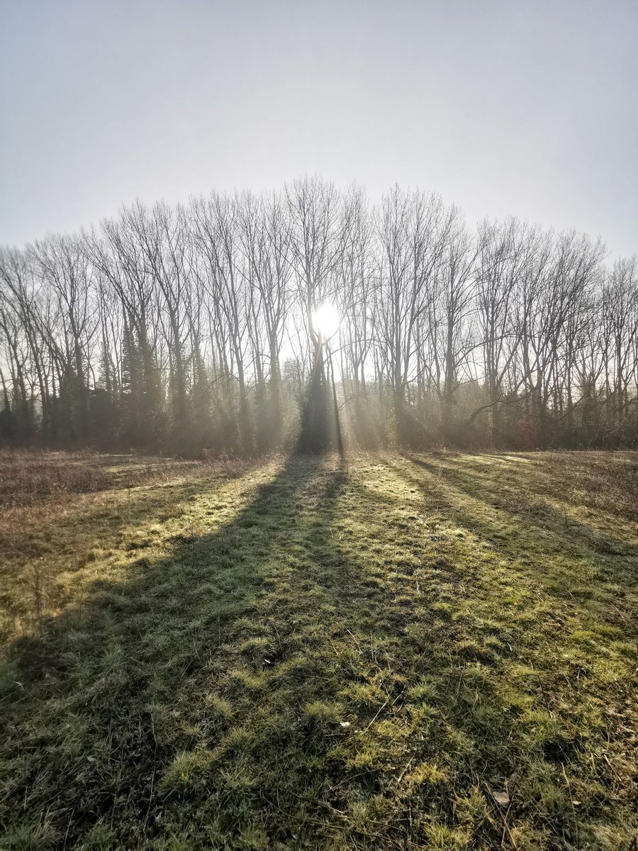 GRM_DS's tweet image. Walkovers form an integral part of a Phase I #DeskStudy, enabling us to identify potential risks during the early stages of a project. They are often required to validate planning applications.