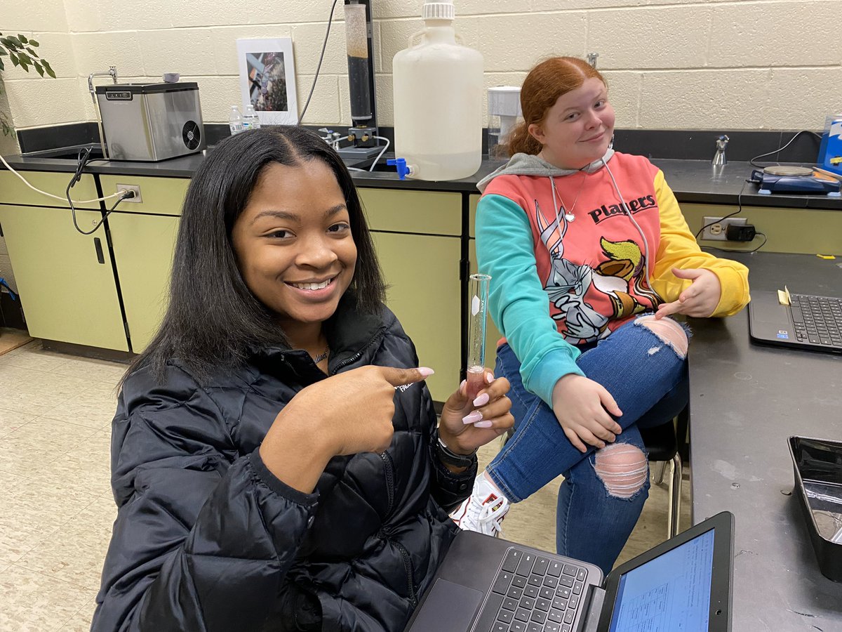 absmith_IHS's tweet photo. Honors Biology students designed protocols to extract DNA from strawberries with great success! #ThisIsIrmo!!! https://t.co/xgJGRPhQbV