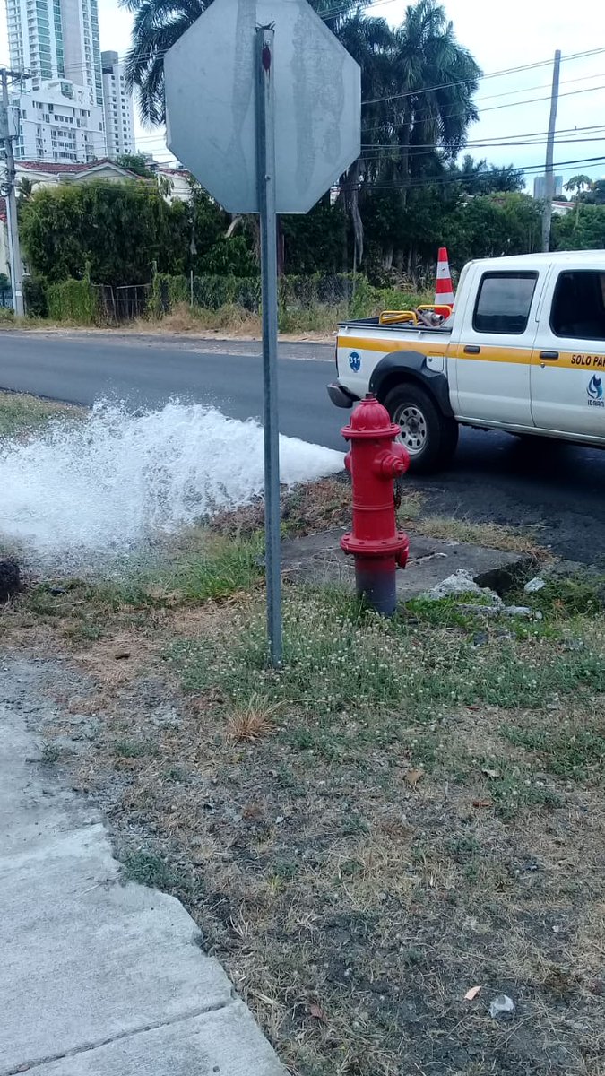 IDAANinforma's tweet photo. OPERATIVO👷‍♂️Agua en Parque Lefevre y San Francisco. Hidrantes registran buena presión. https://t.co/qqh1rOZx4Z