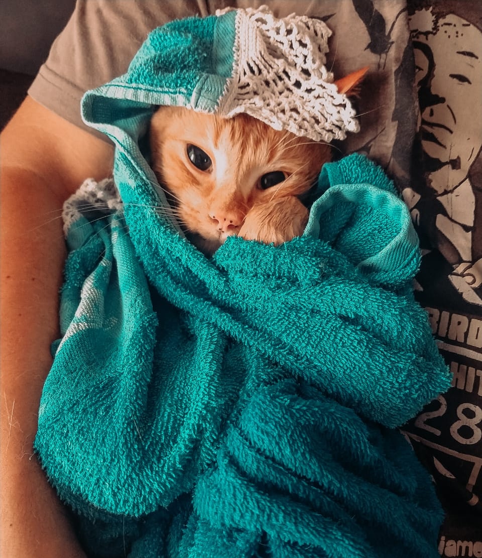 Kalbeck the Chosen One 💀 tweet media