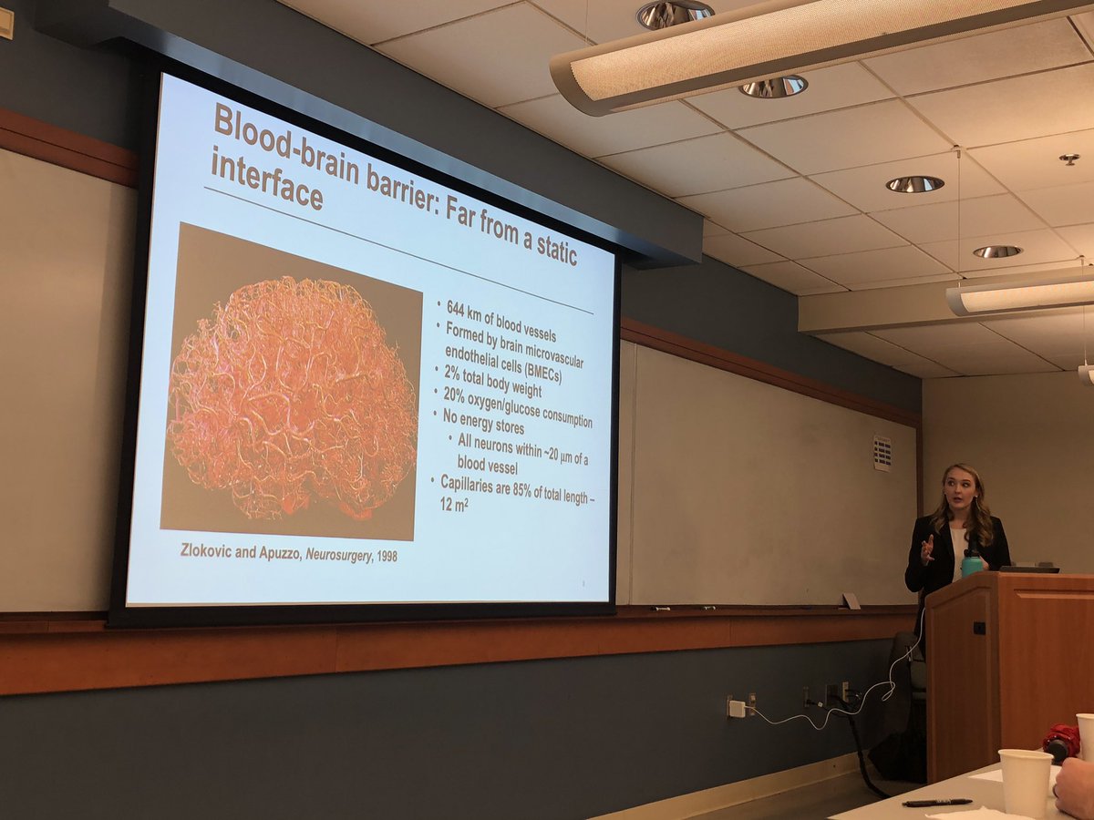 SirvonHammock's tweet photo. Congrats to Dr. @emmaneal_! #WillScienceforDonuts #WillScienceforChampagne #Biotechokogu #LippmannLabFirstPhD #DrMotherGoose #MedSchoolHereSheComes #LiterallySoProudOfHer #KeepingUpWithTheLippmannLab #WomeninSTEM @LippmannLabVU @VUEngineering @VUmidp https://t.co/eASrWQD7OK