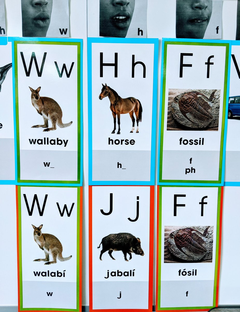 RialGraham's tweet photo. Such a great example of great collaboration between @Miss_Luepnitz &amp; @Brenda_Milum using the Sound-Spelling Transfer Kit from @BenchmarkEdu! @rtileader @coxjodir #gcisdwl  @WorldLang_GCISD https://t.co/udk8nTIRFu