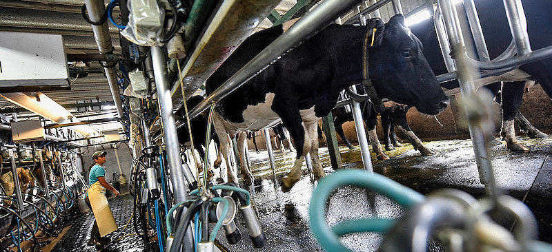 Leonardo Bolla tweet media