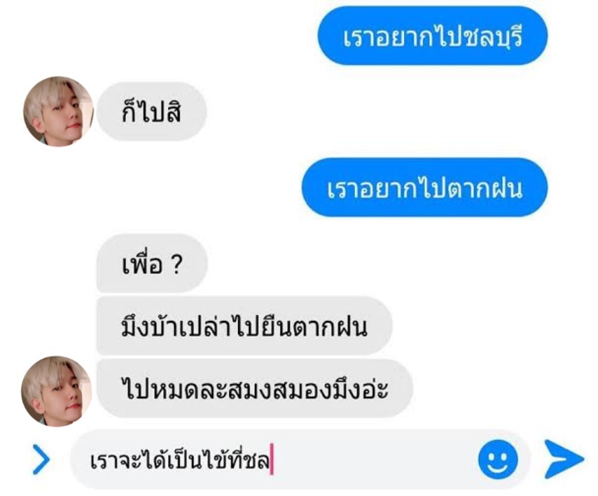 ชานแบค tweet media