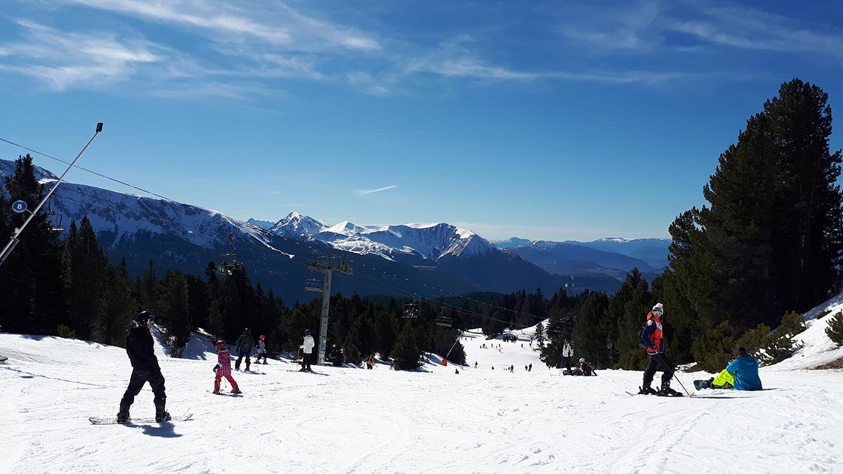 SKI PLANET tweet media