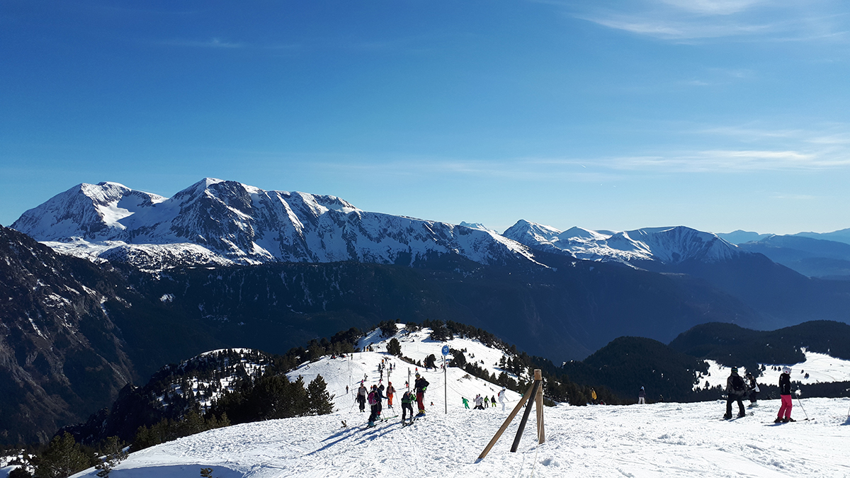 SKI PLANET tweet media