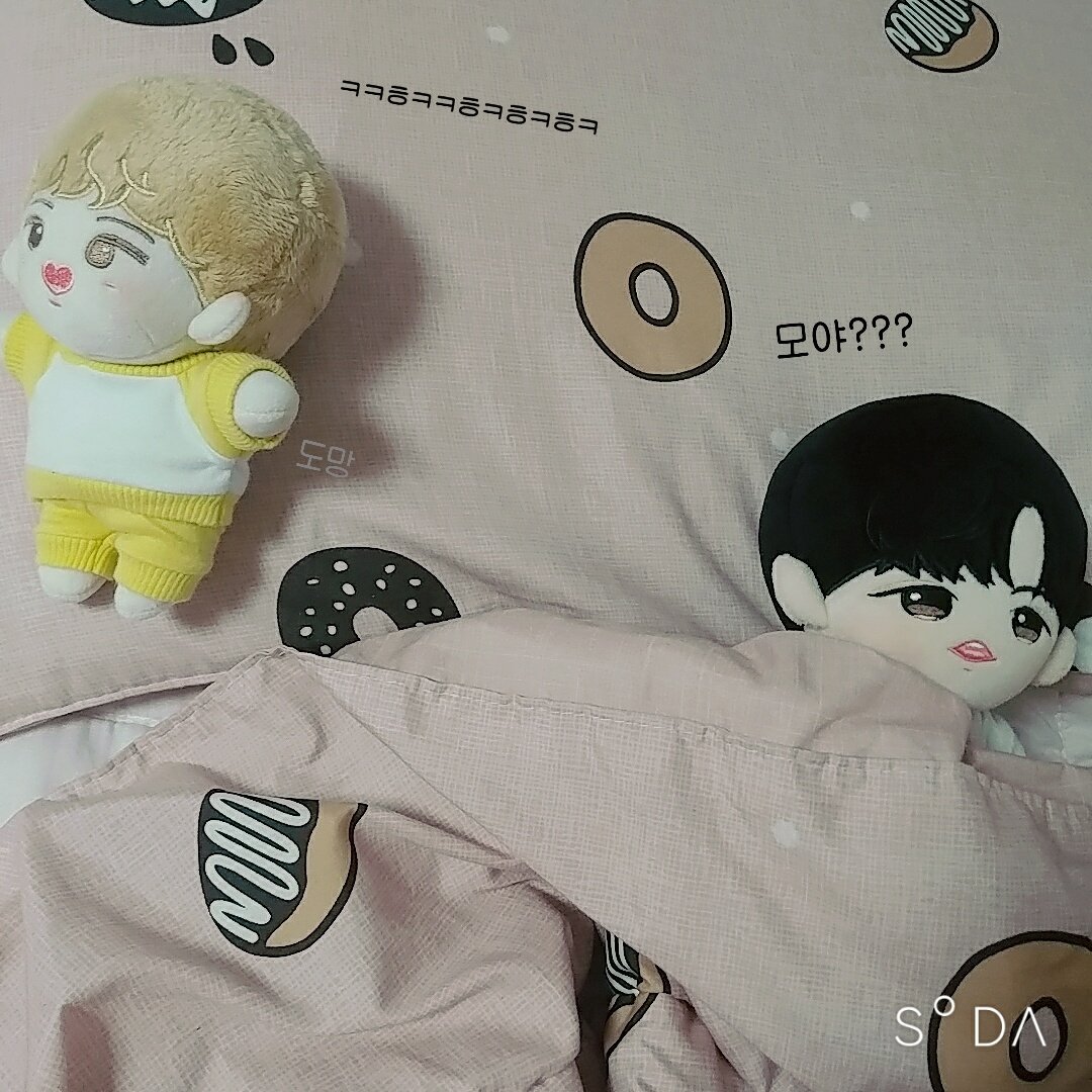 하루라도 장난 안치고는 살아갈 수 없는 아가들이에요😅 #꿀빵우니 #깜몬모 #솜뭉치