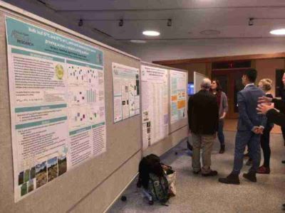 sibslab's tweet photo. Great poster presentations by 2 grad students, 1 postdoc, and 1 faculty member from SIBS lab at Ions@Work 2020 https://t.co/2tC8HRiy77