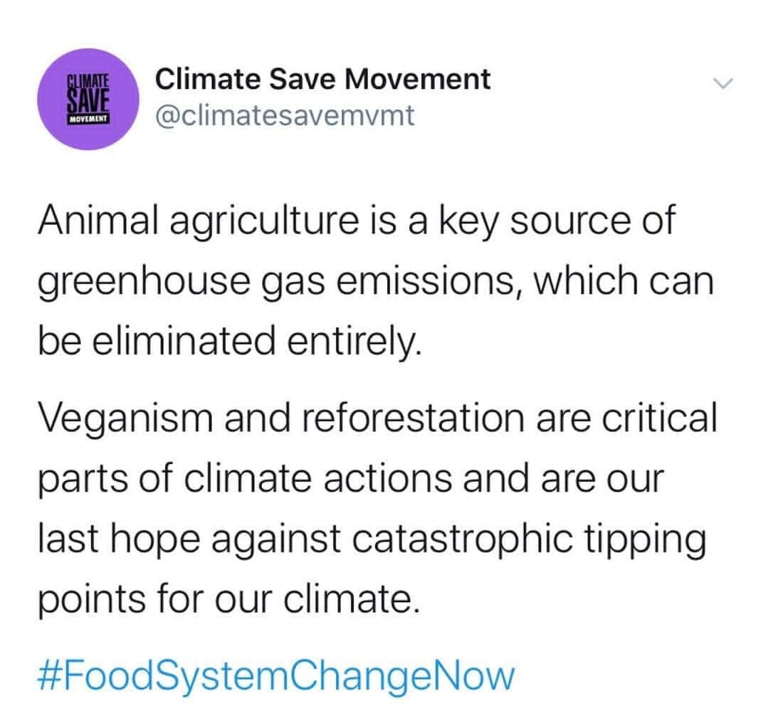 ClimateSaveDel's tweet image. #GoVegan #ClimateEmergency #ClimateActionNow #animalagriculture 
:
:
Follow our updates over Instagram:- 
instagram.com/climatesavedel…