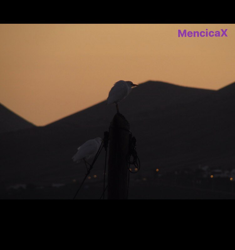 cads_evans's tweet photo. #InnerChildChallenge 
#2018v
#Lanzarote 
#CanaryIslands 
@BTS_twt 
#photography 
#V https://t.co/vbsjvL4qOO