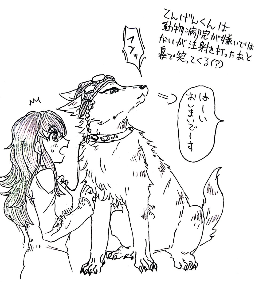 柱犬 動物病院すききらい表
みつりちゃんとおばないくんとてんげんくんと予防接種
※獣化 