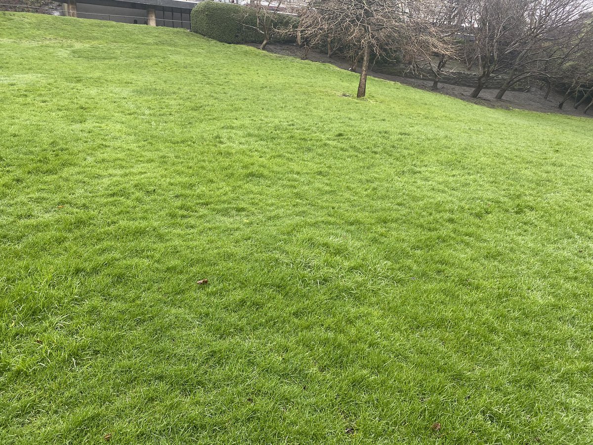 edinspotlight's tweet photo. The lush green grass (albeit wet) in West Princes Street Gardens V the mud bath in EPSG today.
We know which one weβd rather they both looked like π
#Edinburgh https://t.co/ohDajyU5D4
