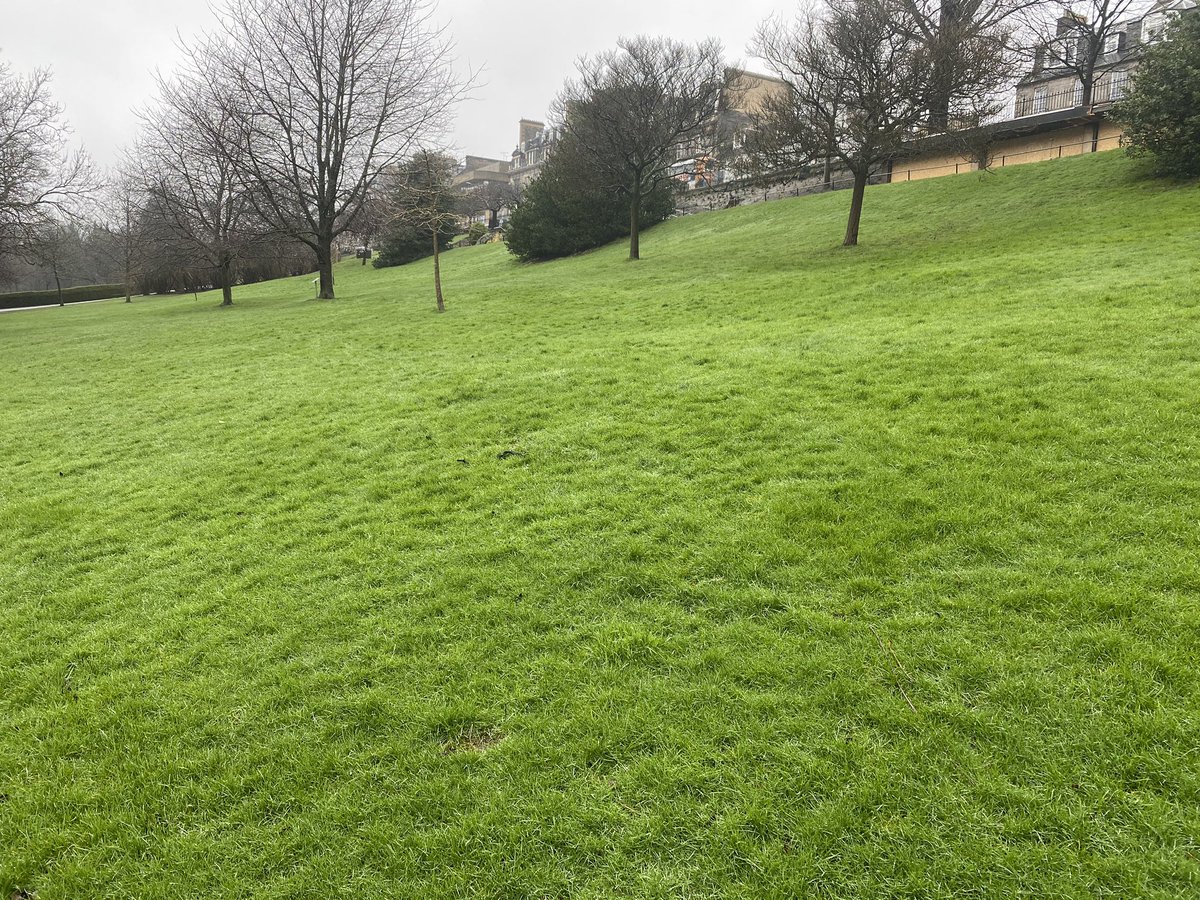 edinspotlight's tweet photo. The lush green grass (albeit wet) in West Princes Street Gardens V the mud bath in EPSG today.
We know which one weβd rather they both looked like π
#Edinburgh https://t.co/ohDajyU5D4