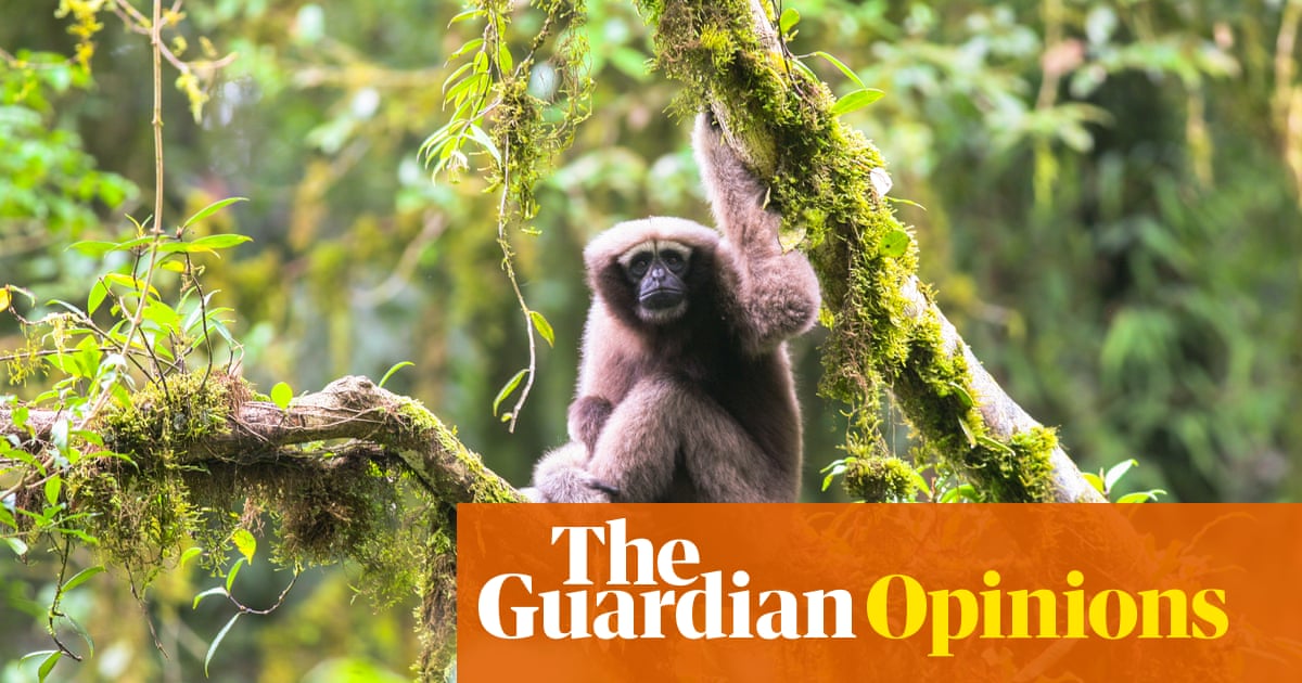 tveinspire's tweet image. The 10 year action agenda to halt #biodiversity loss is being considered in Rome today and will be agreed at the UN CBD in Kunming, China in October. 'The stakes are high but solutions are within reach' say co-chairs of the working group: bit.ly/38WpgQ7 #UNCBD #SuperYear