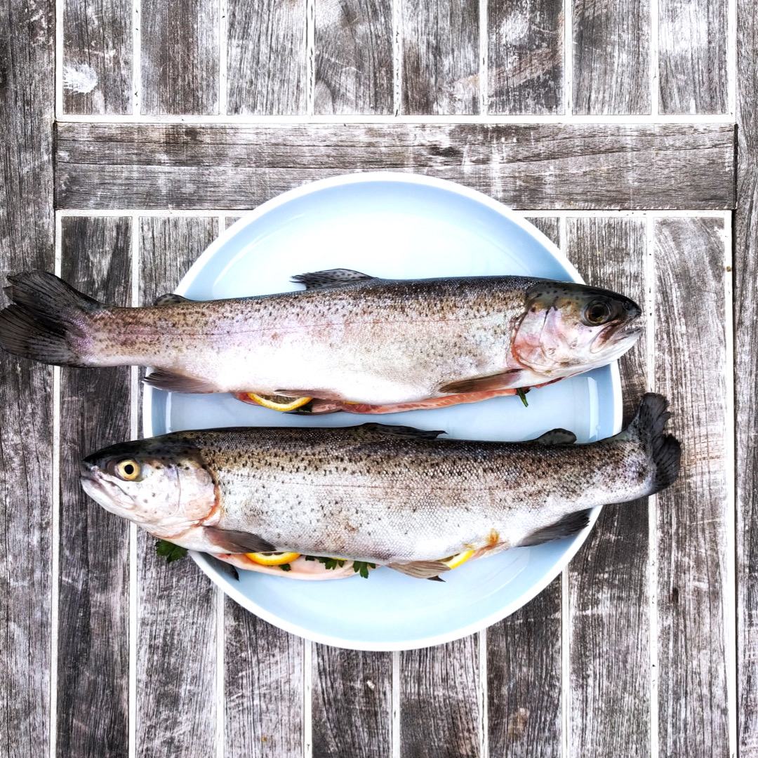 Ga jij een lekker visje bereiden en weet je niet zeker of die vers is? Kijk voor de tip van onze chef op onze Facebook pagina. 

#zilvrtip #Tipvdweek #kooktip #zilvrfeitje #foodbarzilvrtip #foodbarzilvr #wistjedat #leukweetje #feitjes