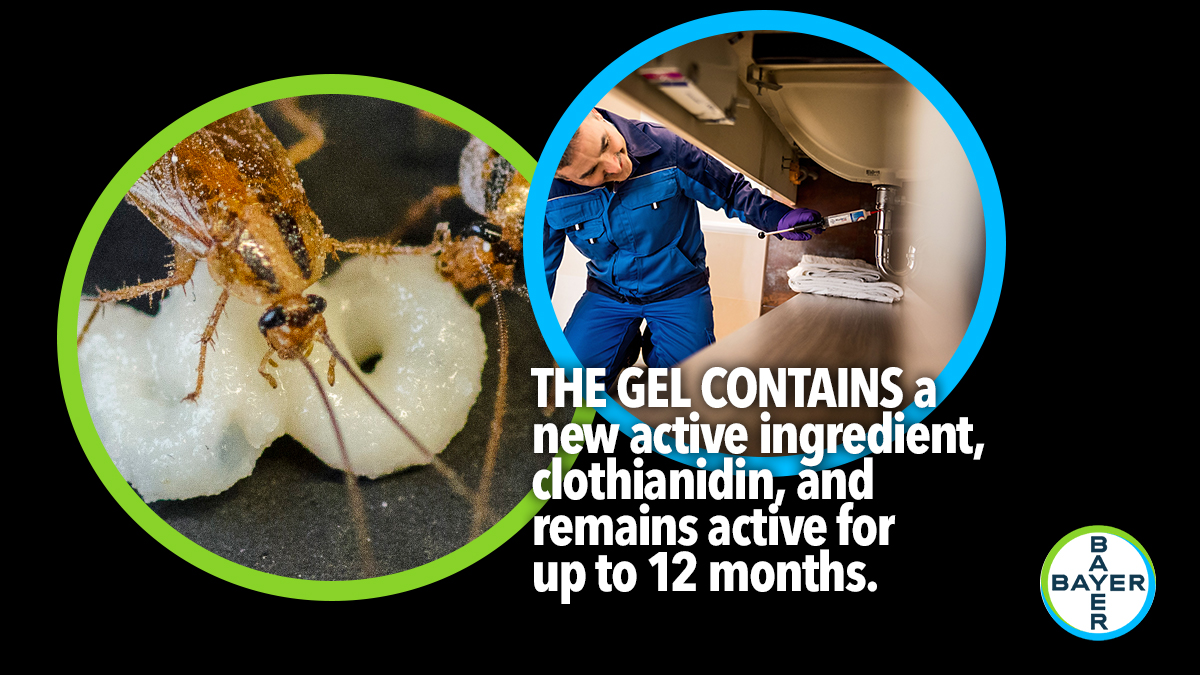 britpestcontrol's tweet photo. You don't want to miss out on this exclusive @BayerPestUK product launch at #PPCLive2020! 🤩 More: https://t.co/tuEOEWSCzS #PestControl #PestEvents #Cockroach #Silverfish https://t.co/eukdWQ4bmc