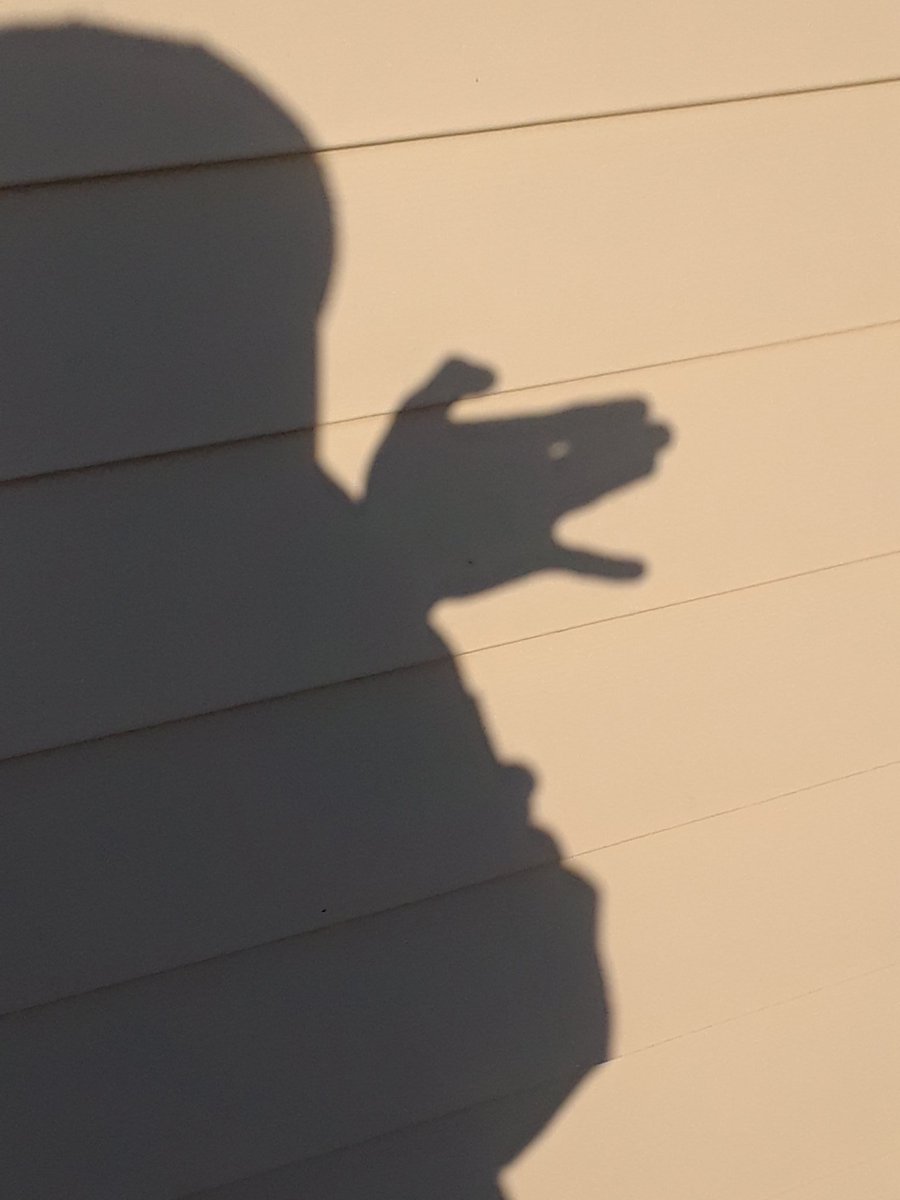 TozoCesar's tweet image. Beautiful day right? Well you know me?! Enjoying myself .