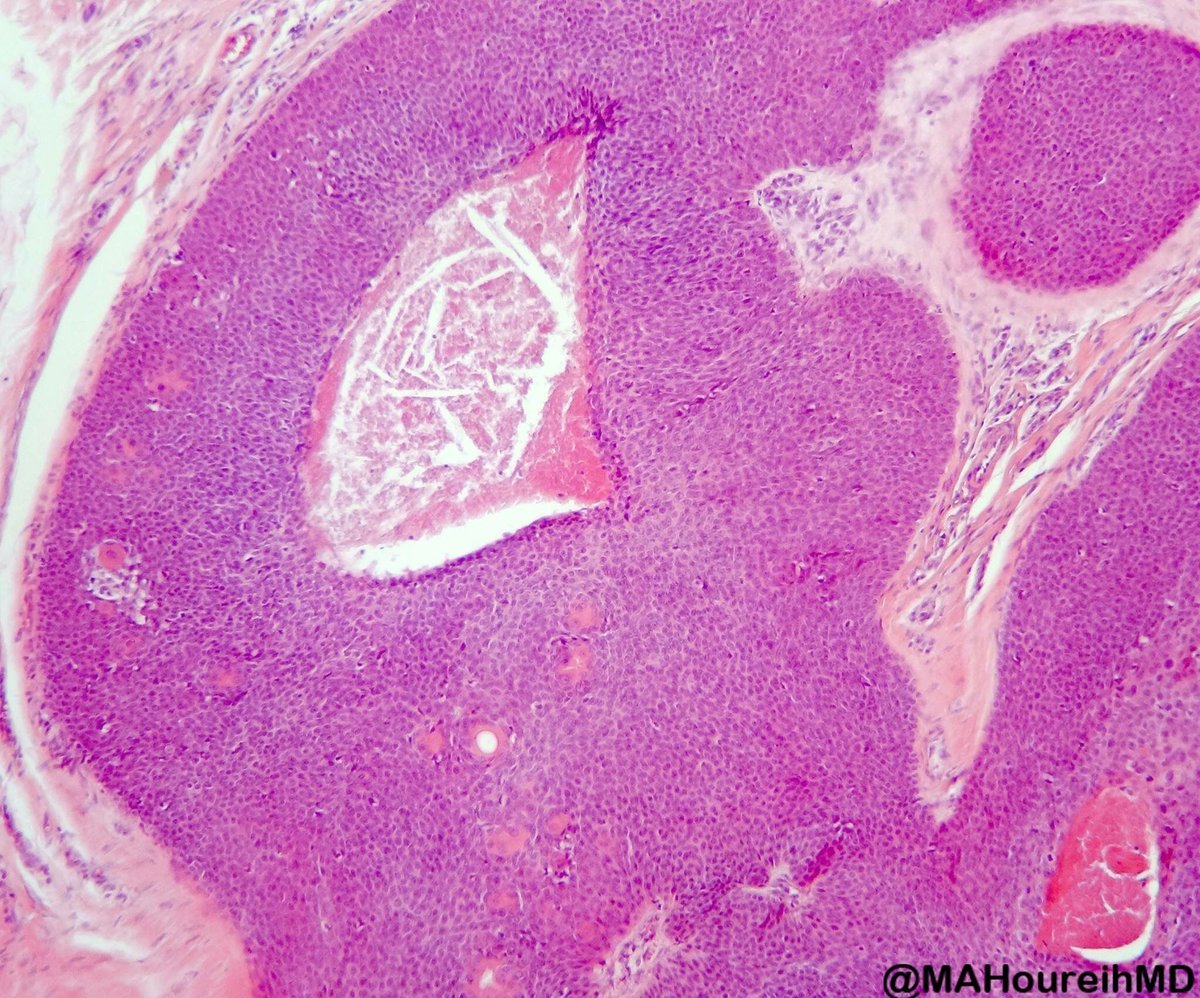 Jerad Gardner, MD tweet media