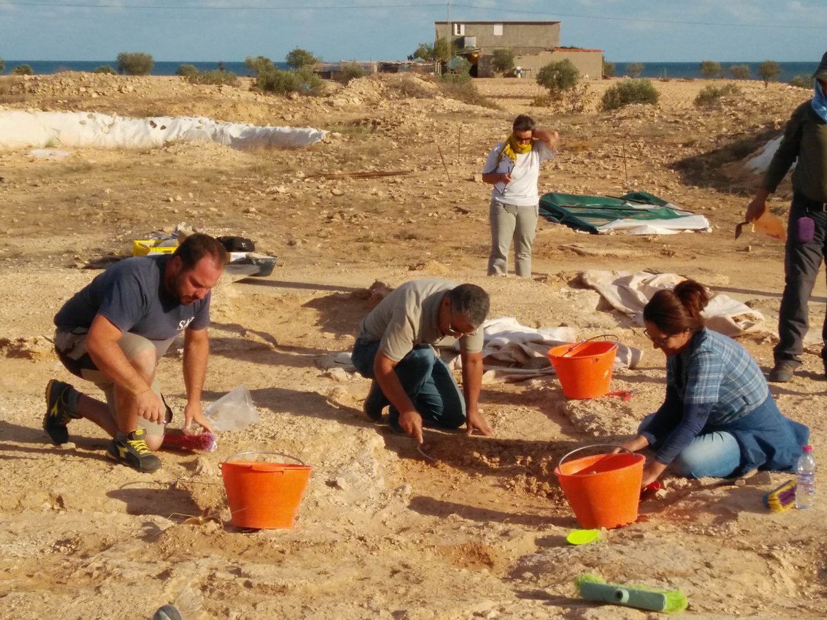 TrainingNaction's tweet photo. We are happy to share the results of our research and excavation at a Church at the site of Iunca in Mahres- Tunisia. The main work has been to rescue the monument through cleaning and restoration; and creating new correct plans. 
#CulturalProtectionFund https://t.co/4WTx76na11