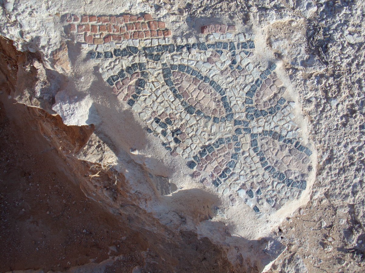 TrainingNaction's tweet photo. We are happy to share the results of our research and excavation at a Church at the site of Iunca in Mahres- Tunisia. The main work has been to rescue the monument through cleaning and restoration; and creating new correct plans. 
#CulturalProtectionFund https://t.co/4WTx76na11