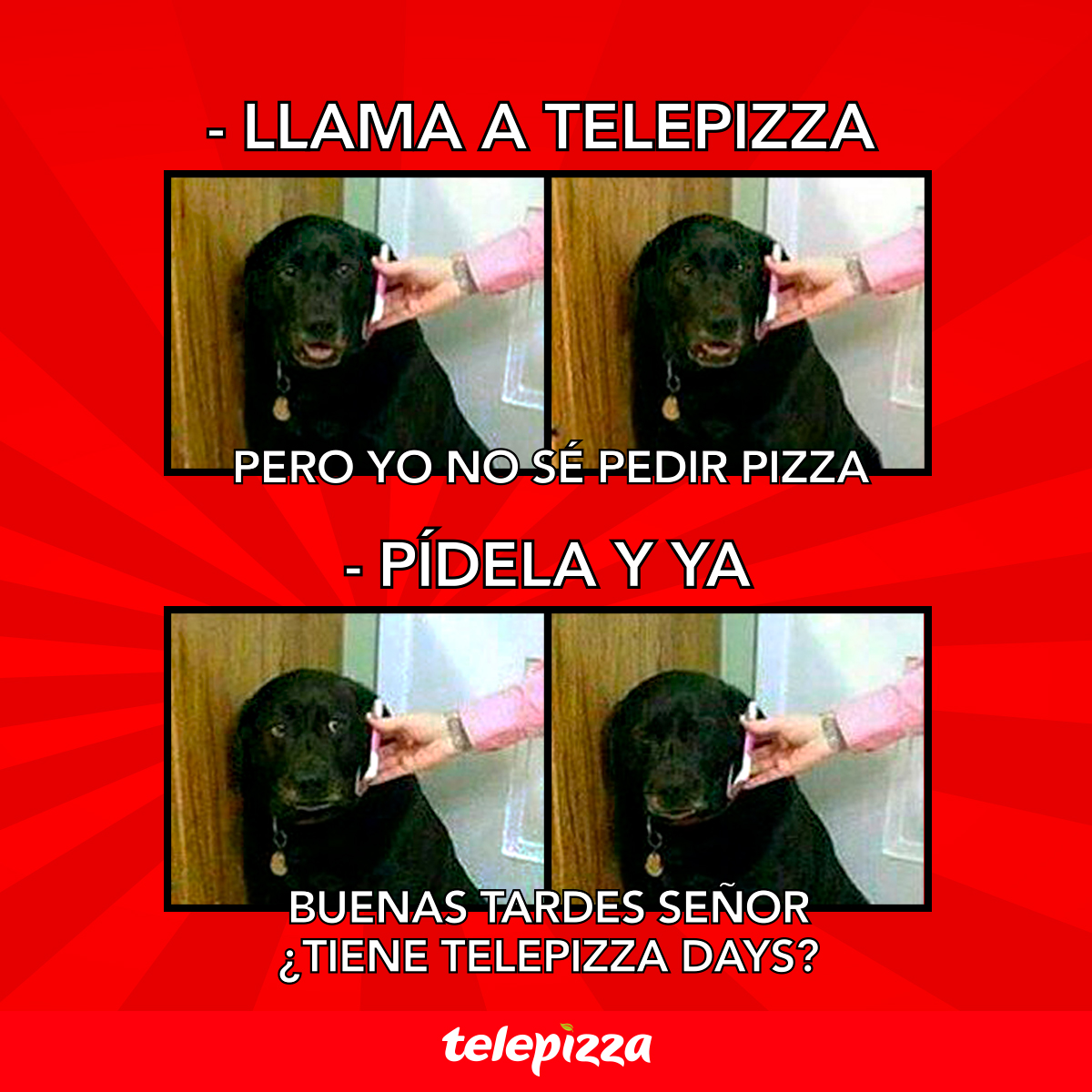 Nuestros Telepizza Days llegaron y están tan irresistibles que hasta tu perro aprende a preguntar por pizza. 😉👌🏻🍕

Lleva cada pizza familiar a $4.990. Elige 1 ingrediente entre más de 20 disponibles. Acércate ya a tu local más cercano para llevarte la mejor promo de todas.