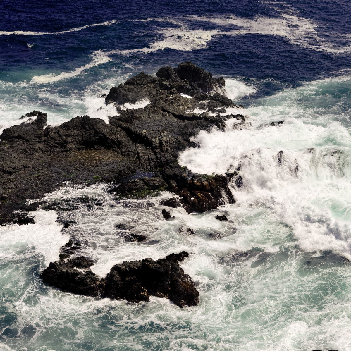 OceanaCAN's tweet image. Today is the launch of Holt&apos;s #HProject #UncrateOceans, a project to raise awareness of ocean conservation and raise funds for Oceana Canada’s work. A huge thank you to @HoltRenfrew for helping us ensure future generations can inherit healthy oceans full of life.