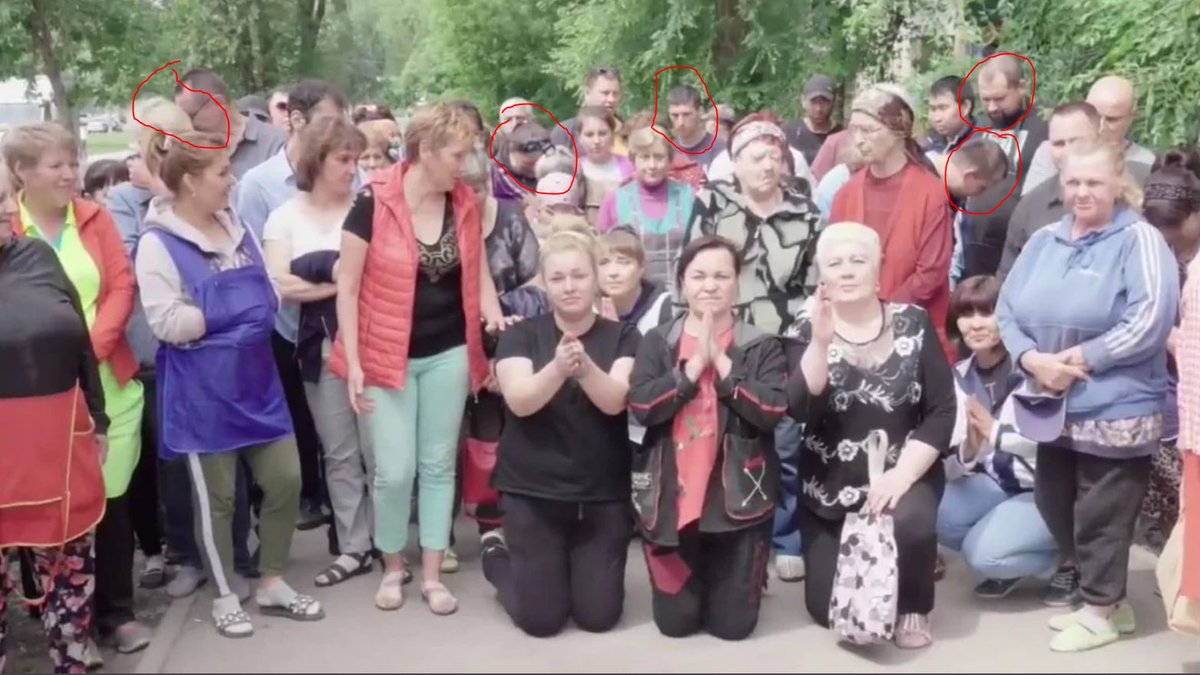 обращение к путину на коленях. на коленях перед путиным. россияне на коленях перед путиным. встали на колени перед путиным. россияне стоят на коленях.