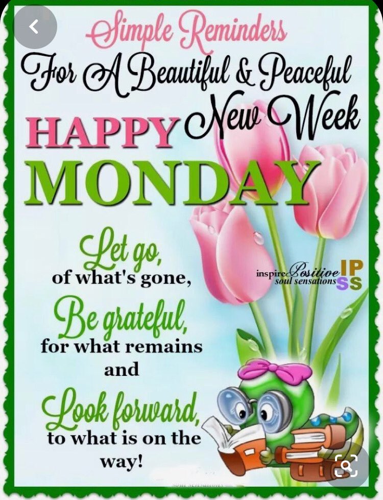 BonnettaWith's tweet photo. 💚💗 HAPPY MONDAY💚💗  #beautiful peaceful #newweek https://t.co/aDwMrNpqJD