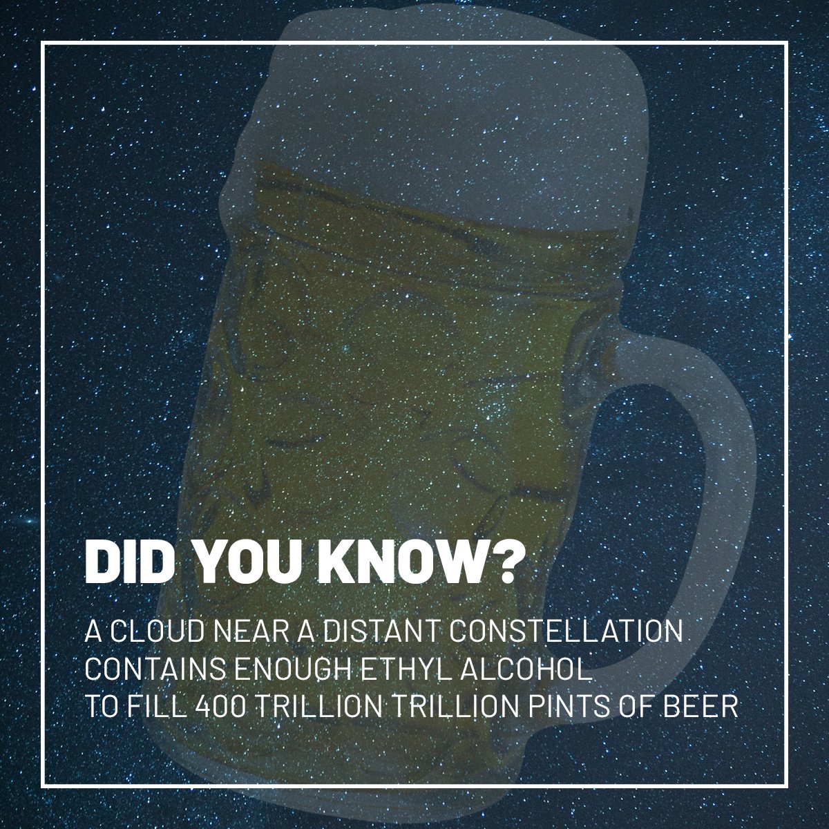 Three Nations Dispense tweet media