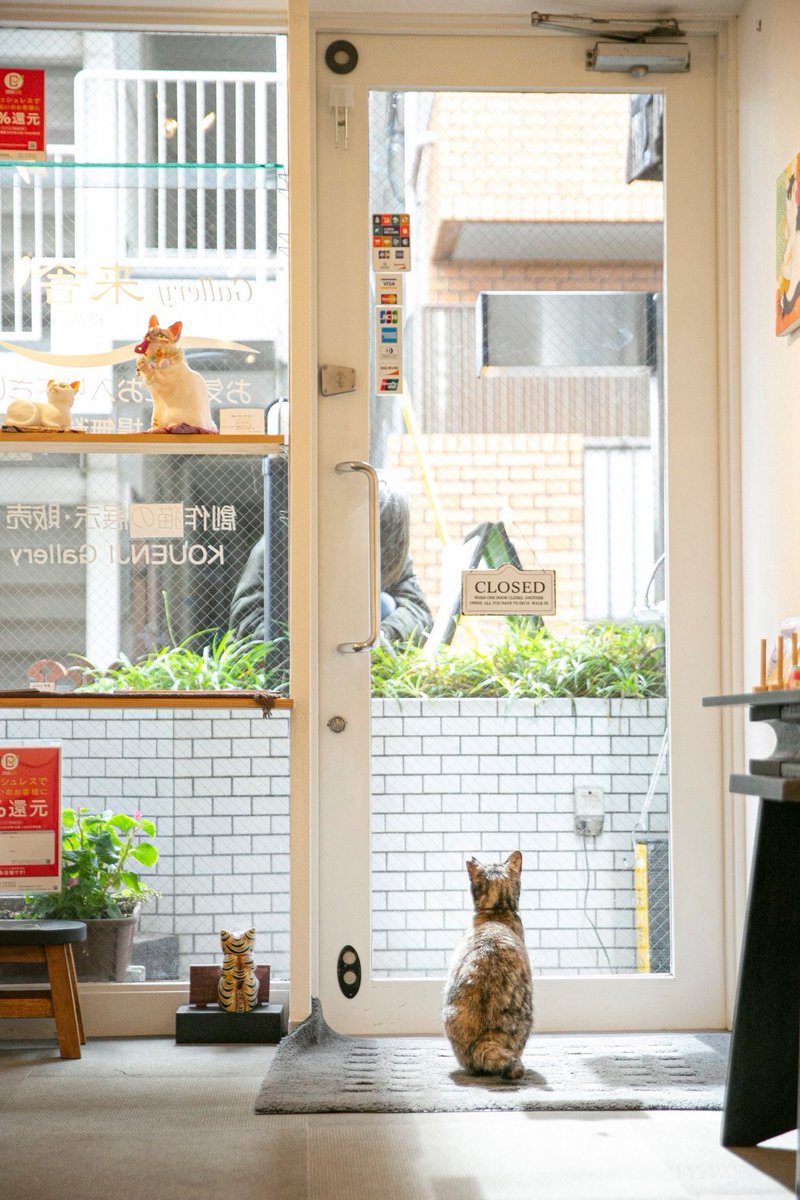 「展示おわりました…!初めてフォトグラファーの妹と展示したけど勉強になることばかり」|ヒカリタケウチのイラスト