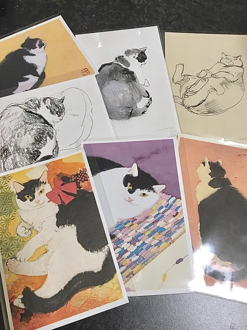 展示おわりました…!初めてフォトグラファーの妹と展示したけど勉強になることばかり。思ってたより知り合いが来てくれたり、普段なかなか会わない人ともじっくりはなしができたり、たまたま通った内装業のおじさまがちーさんのスケッチ買ってくれたり楽しかった!ありがとうございました! 