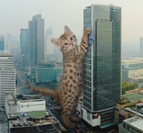 SmallPrintTO's tweet image. Look who's moving into #MouseCity! Kids aged 4-12 can build a model city for cats AND mice, out of recycled craft materials, at CAT&amp;amp; MOUSE CITY on Sunday (March 1) 10AM-Noon at @DanielsSpectrum FREE ow.ly/UbIa50yumeW cc. @furnwater