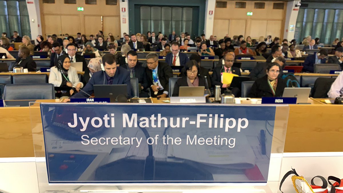 My view from the podium as #Parties begin negotiations of the #zerodraft of the #Post2020 #globalbiodiversity #framework exciting @UNBiodiversity @UNEP @UNFCCC @IPBES @mremae @BasilevanHavre @sabinofrancis