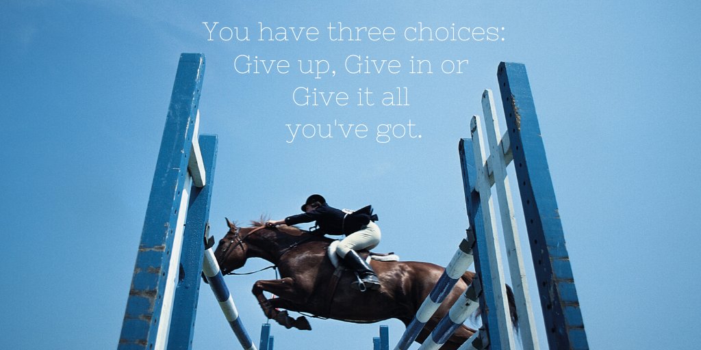 #MondayMotivation #ArcEquine #SmallWonder