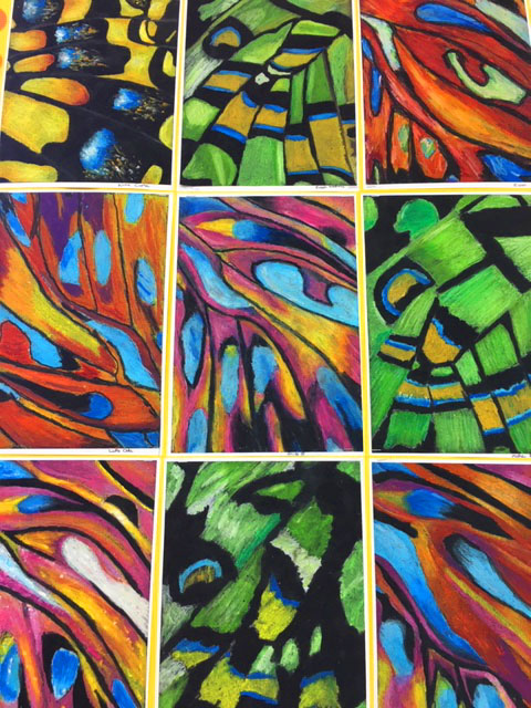 Colourful oil pastel butterfly wings from S1 who are looking at the natural world. <a href="/StAlsGlasgow/">St Aloysius' College</a>