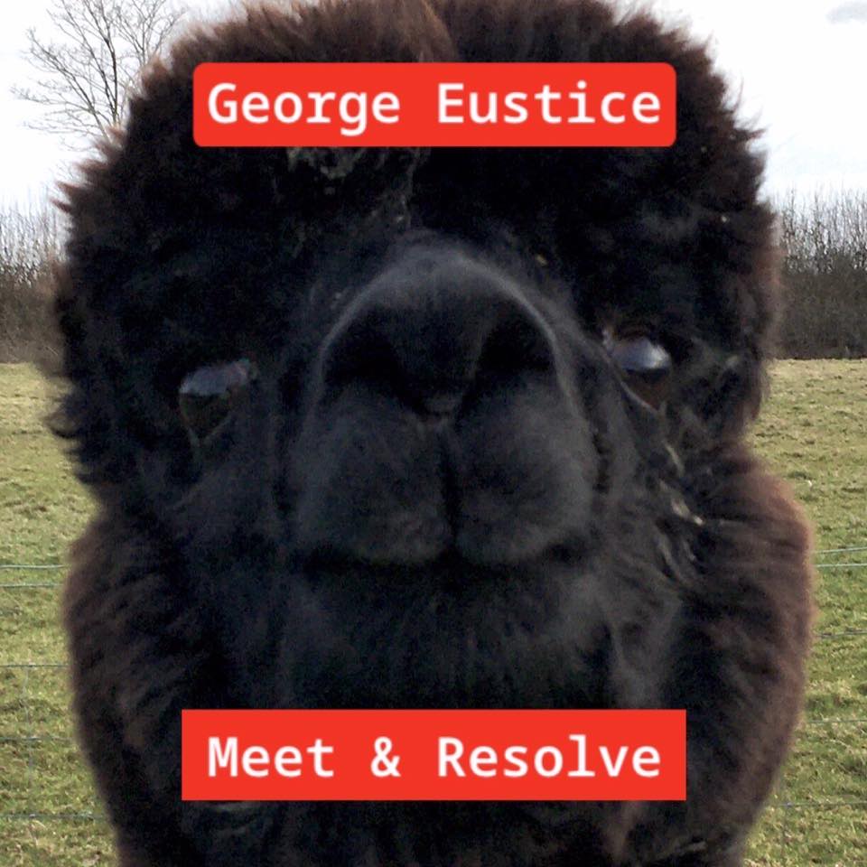 Geronimos_Law's tweet image. Dear #georgeeustice , please meet with us, review the evidence since 2017 and grant permission for a valid test. You now know there is #nodisease #noevidence #flawedtests #useevidencebasedscience #stopblamingNZ #nothingwrongwithme #dotherightthingnow