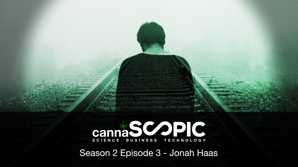 cannascopic's tweet photo. Jonah Haas: How to transform your life through lucid dreaming. https://t.co/2zOT7yhh72 https://t.co/C9aFWlzZs7